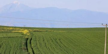 Προβλήματα στη βεβαίωση κατά κύριο επάγγελμα από το Μητρώο Αγροτών φέρνουν αποκλεισμούς