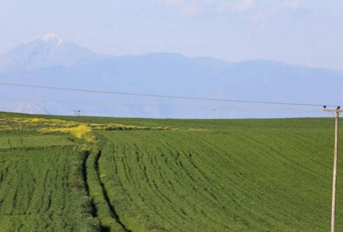 Προβλήματα στη βεβαίωση κατά κύριο επάγγελμα από το Μητρώο Αγροτών φέρνουν αποκλεισμούς