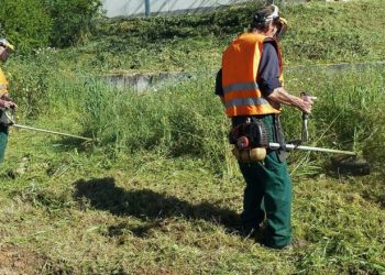Παρατείνεται η προθεσμία για τον καθαρισμό οικοπέδων