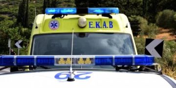 Ηλεία: Τραυματισμός 7χρονης σε οικία μετά από επίθεση σκύλου
