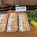ΟΠΕΚΕΠΕ: Πώς δρούσε το κύκλωμα των «μαϊμού» επιδοτήσεων των 2,4 εκατ. ευρώ
